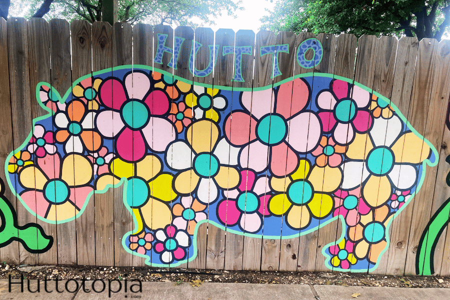 Flower Hippo Downtown Hutto