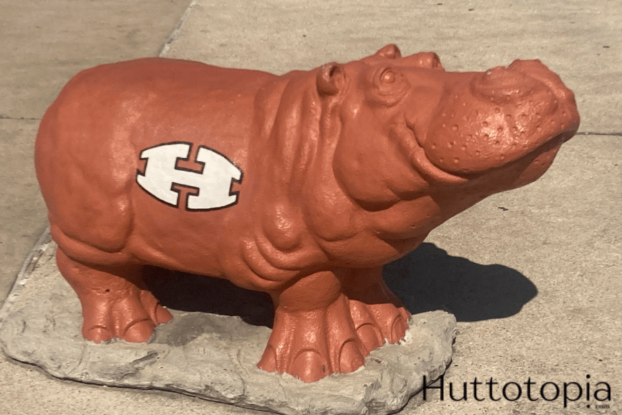 Hutto's HippoNation Hippo from Athletic Building