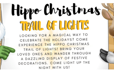 Hippo Christmas Trail of LIghts