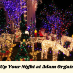 Light Up Your Night at Adam Orgain Park