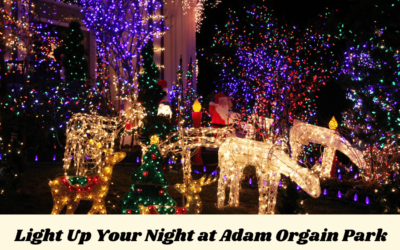 Light Up Your Night at Adam Orgain Park