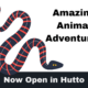 Amazing Animal Adventures Hutto