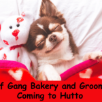 Wolf Gang Bakery and Grooming Hutto