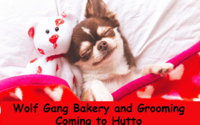 Wolf Gang Bakery and Grooming Hutto