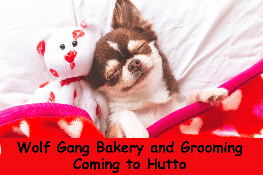 Wolf Gang Bakery and Grooming Hutto