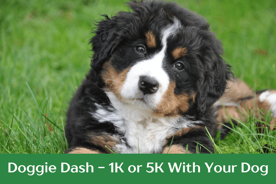 Doggie Dash - 5K With Your Dog