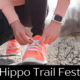 Hippo Trail Fest 2025