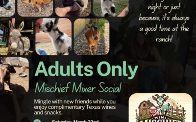 Mini Mixer - Adults Only Flyer